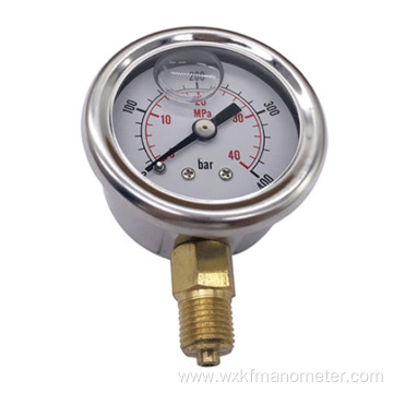 flange Shockproof pressure gauges